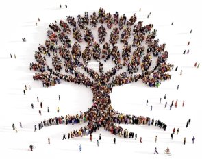 Social affairs People stand together and form a tree