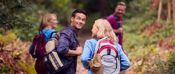 Four people hiking through a forest