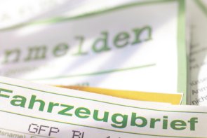 Vehicle registration document and registration document