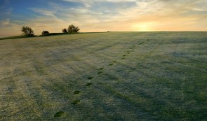 Empreintes de pas dans l'herbe d'une verte prairie avec coucher de soleil