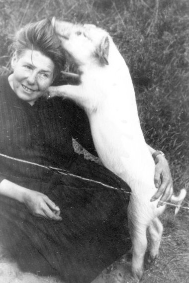 Мария Шмитт Черно-белая фотография Марии Шмитт, сидящей в поле. Ее свинья стоит на задних ногах и опирается головой на ее голову.