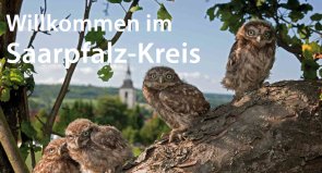 Виставки чотири сови на гілці та напис Willkommen im Saarpfalz-Kreis