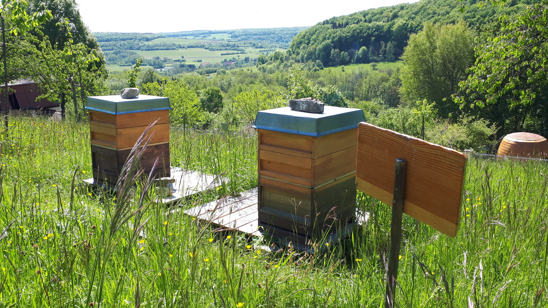 Bienenstöcke in der Streuobstwiese von Haus Lochfeld