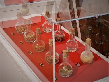 Foto einer Ausstellungsvitrine mit verschiedenen Kräutern.