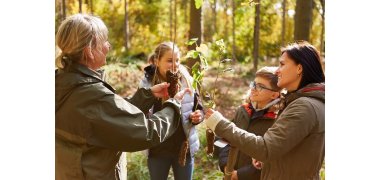 Freiwilliges Oekologisches Jahr Vier Menschen zeigen sich gegenseitig Pflanzen, die sie einpflanzen wollen