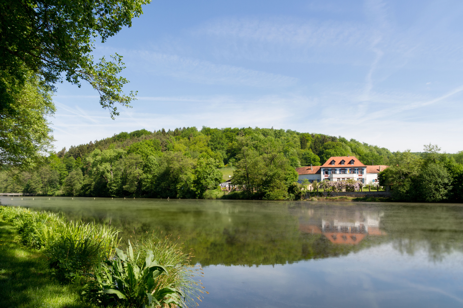 Würzbacher Weiher